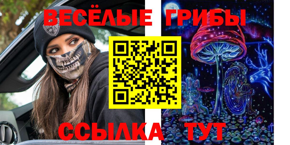 Орск  Галлюциногенные грибы Psilocybine cubensis  Вход с VPN 