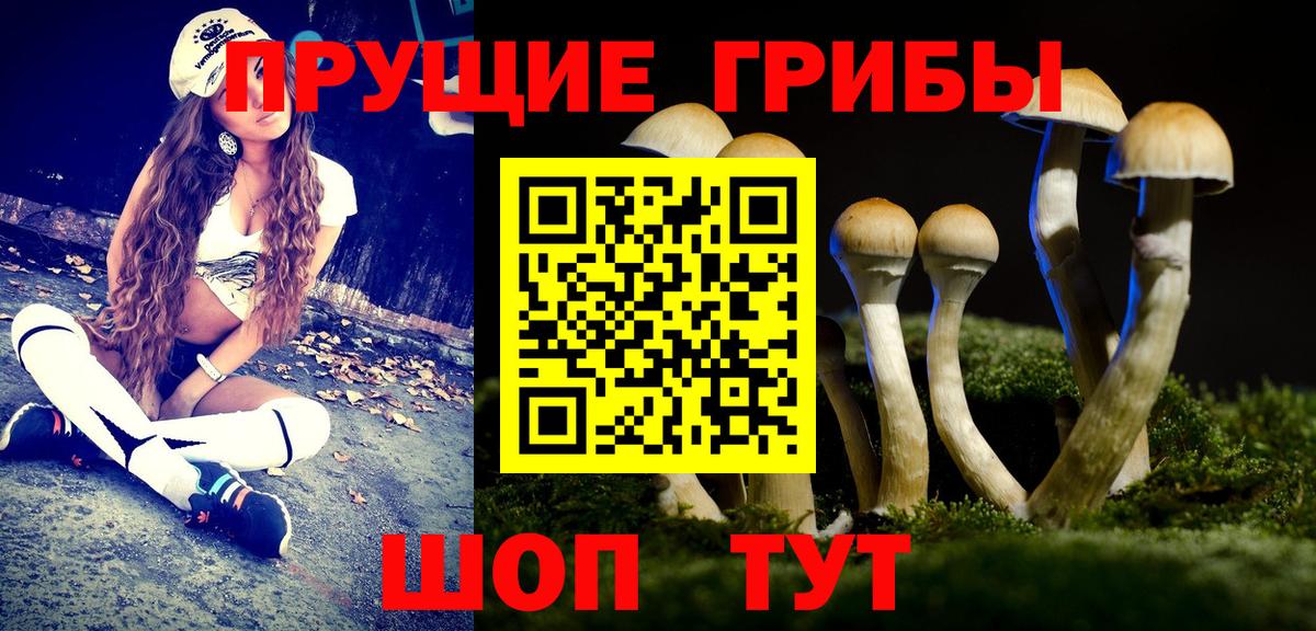 Псилоцибиновые грибы ЛСД Орск